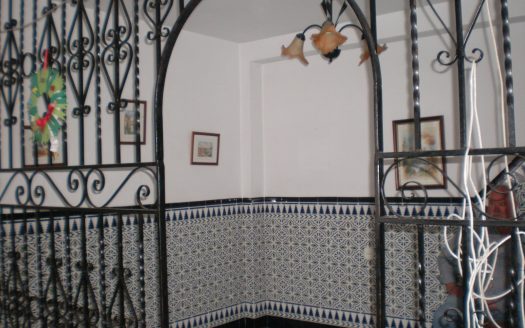 CASA Y LOCAL EN VENTA