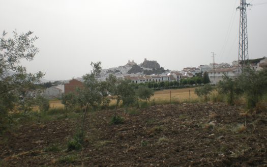 FINCA 14000M² EN VENTA