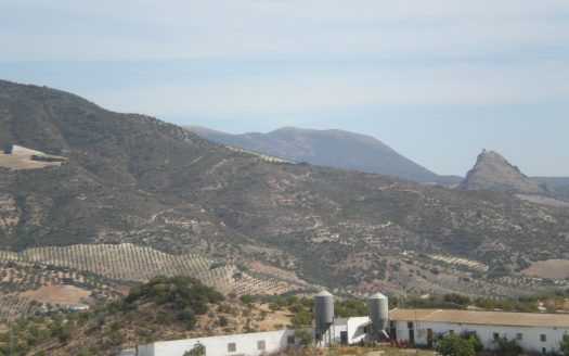 GRAN CHALET EN VENTA