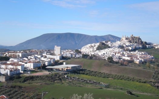 BUENA PARCELA EN VENTA