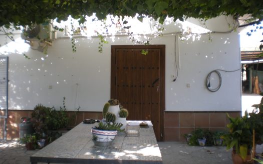 BUENA PARCELA EN VENTA