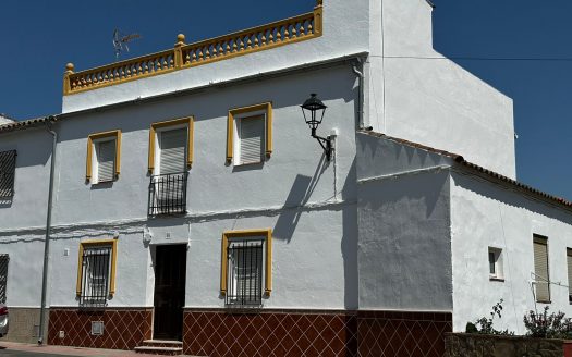 GRAN CASA EN TORRE ALHAQUIME