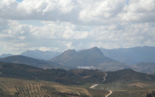 GRAN CASA EN VENTA CON PARCELA