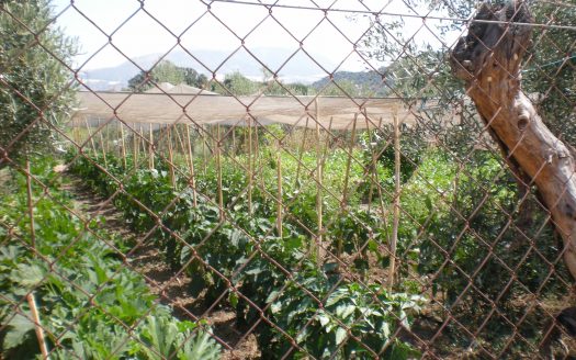 GRAN PARCELA EN VENTA