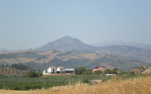 GRAN PARCELA EN VENTA