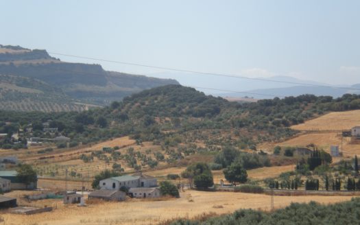 GRAN PARCELA EN VENTA