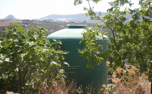 GRAN PARCELA EN VENTA