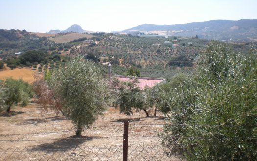 GRAN PARCELA EN VENTA