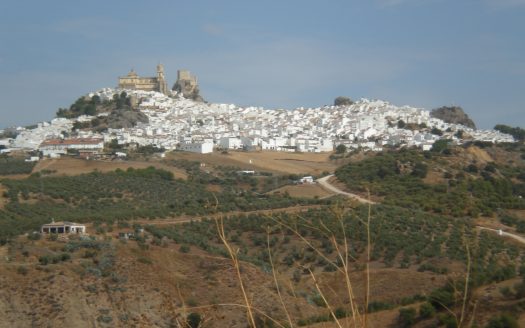 GRAN PARCELA EN VENTA